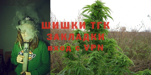 МДПВ Верхний Тагил