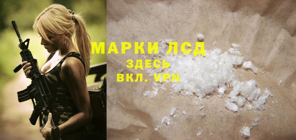 ГАЛЛЮЦИНОГЕННЫЕ ГРИБЫ Бородино