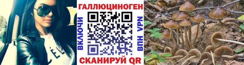 Галлюциногенные грибы MAGIC MUSHROOMS  купить наркоту  мега маркетплейс  Гагарин 